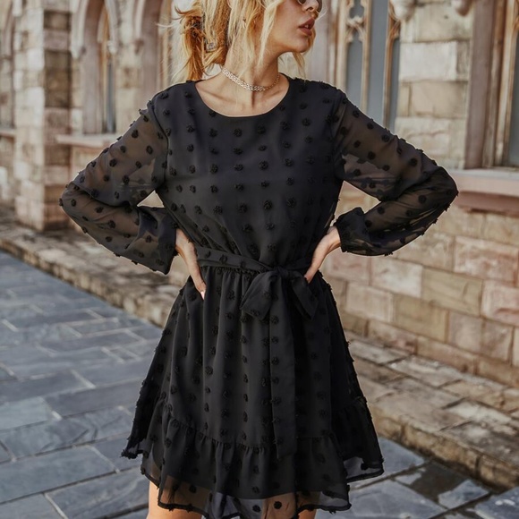 ruffle hem swiss dot waist tie sheer sleeve dress - Picture 2 of 5